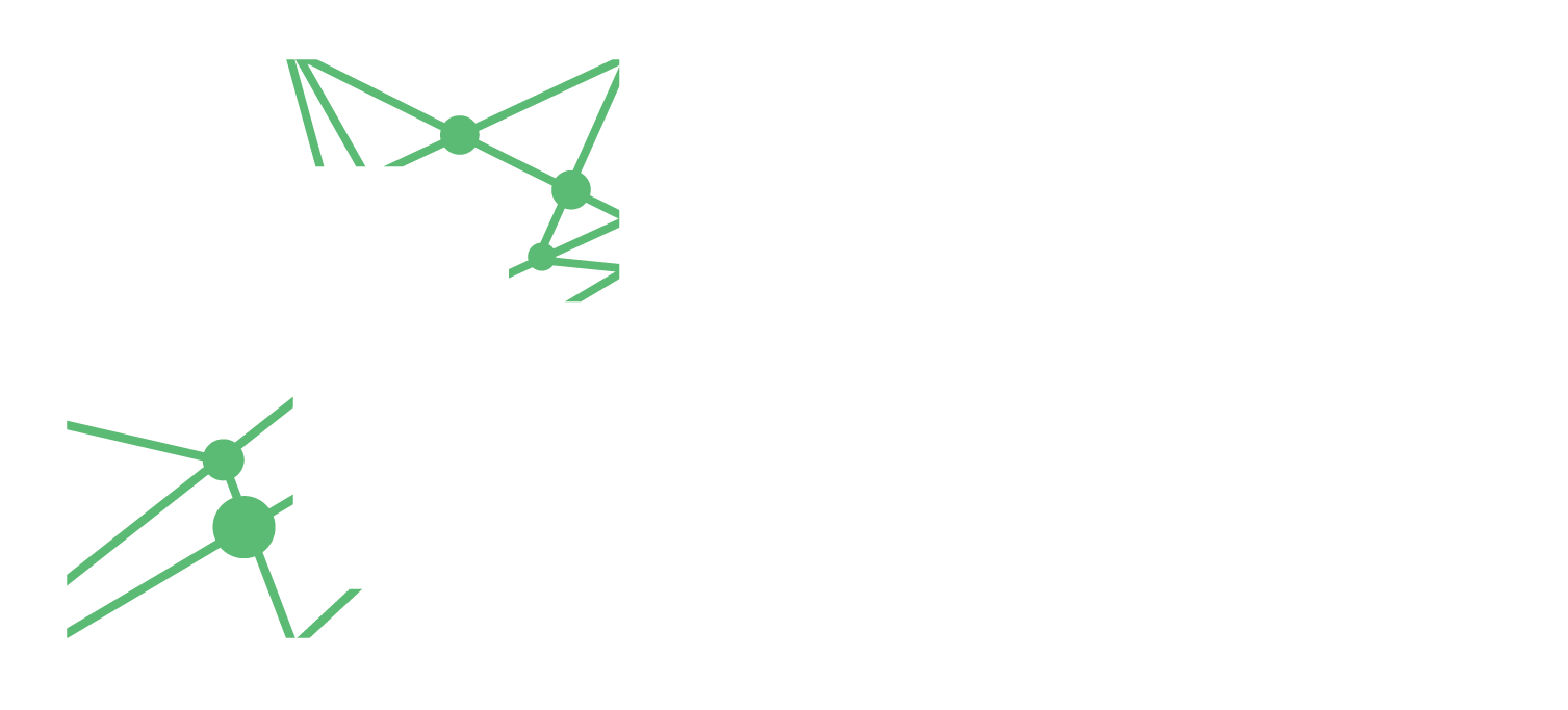 Singh technical services