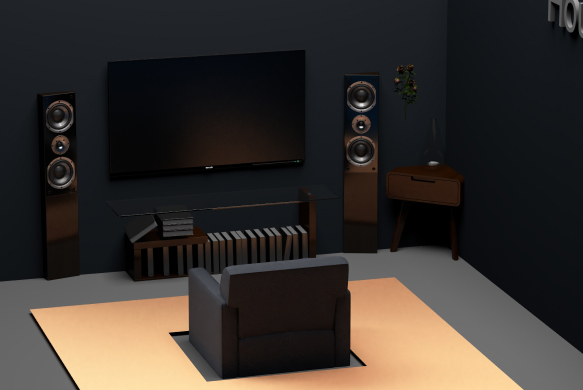 Home Theater Design &Installation